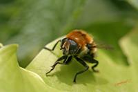 Cjp_2006_06_03_133829 (1).JPG